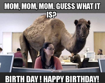 Happy birthday mom meme quotes and funny images for mother