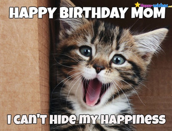 Happy birthday memes for mother cat 2