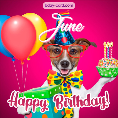 Greeting photos for June with Jack Russal Terrier