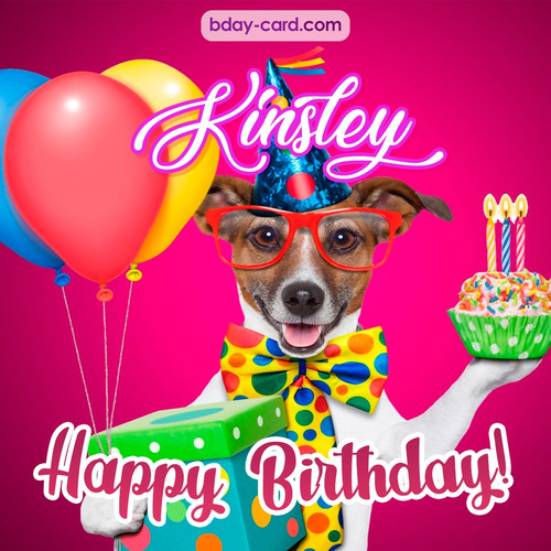 Greeting photos for Kinsley with Jack Russal Terrier