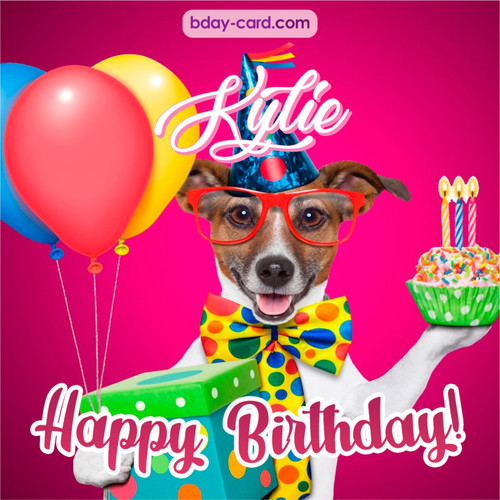Greeting photos for Kylie with Jack Russal Terrier