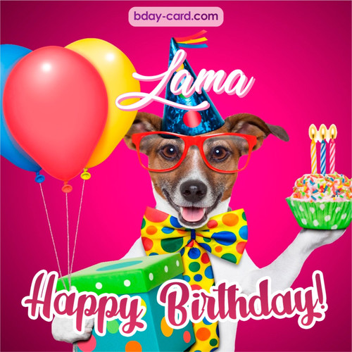 Greeting photos for Lama with Jack Russal Terrier