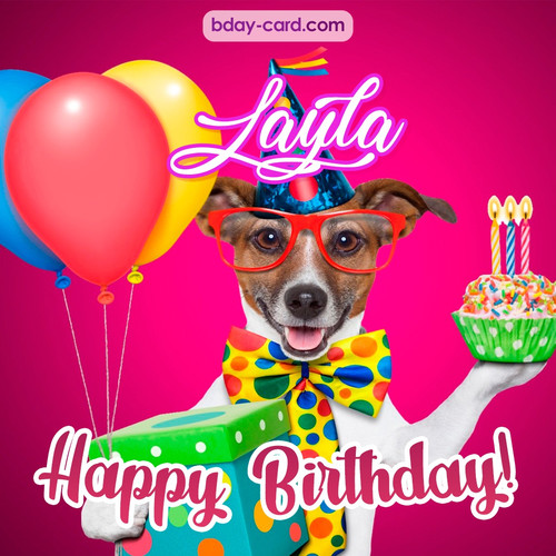Greeting photos for Layla with Jack Russal Terrier