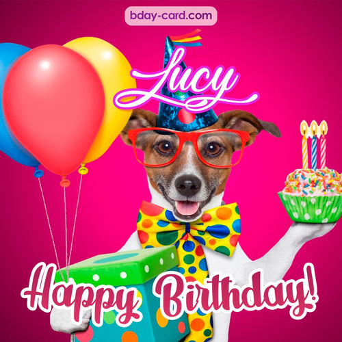 Greeting photos for Lucy with Jack Russal Terrier