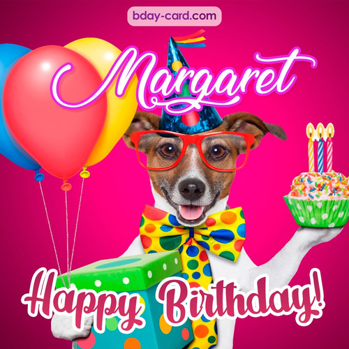 Greeting photos for Margaret with Jack Russal Terrier