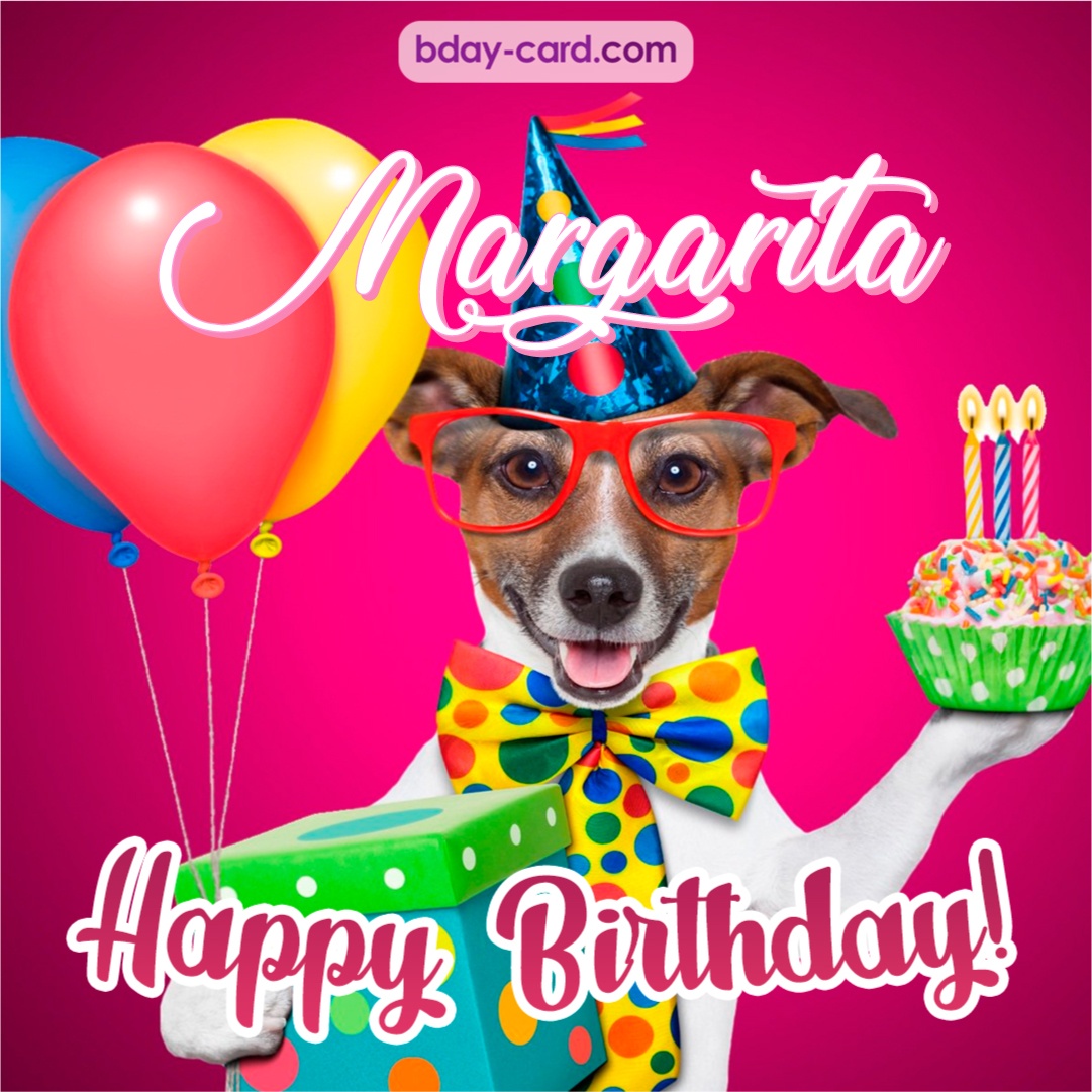 Greeting photos for Margarita with Jack Russal Terrier