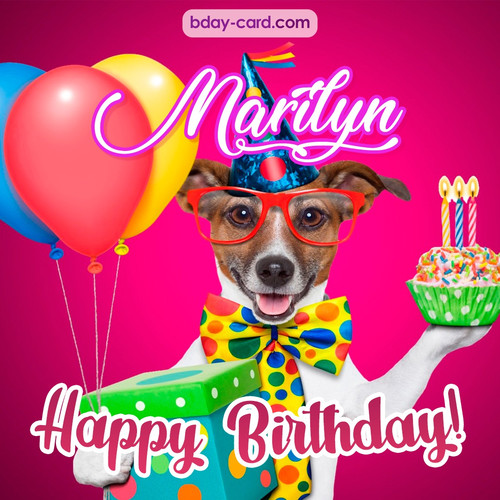 Greeting photos for Marilyn with Jack Russal Terrier