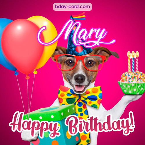 Greeting photos for Mary with Jack Russal Terrier