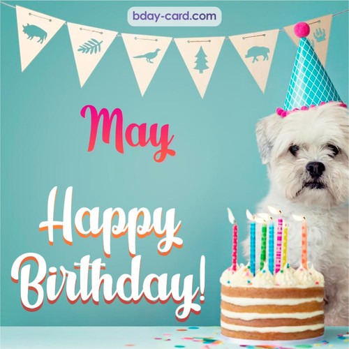 Happiest Birthday pictures for May with Dog