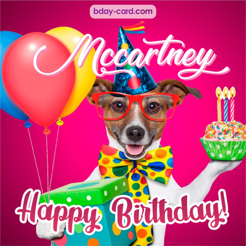Greeting photos for Mccartney with Jack Russal Terrier
