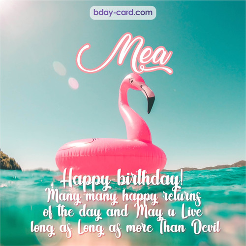 Happy Birthday pic for Mea with flamingo
