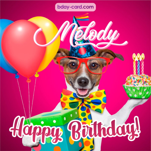 Greeting photos for Melody with Jack Russal Terrier