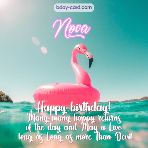 Happy Birthday pic for Nova with flamingo