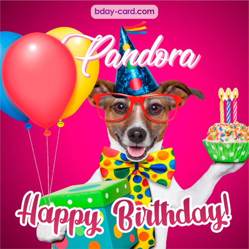 Greeting photos for Pandora with Jack Russal Terrier