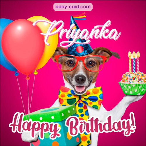 Greeting photos for Priyanka with Jack Russal Terrier