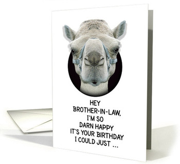 Happy birthday brother in law funny camel card