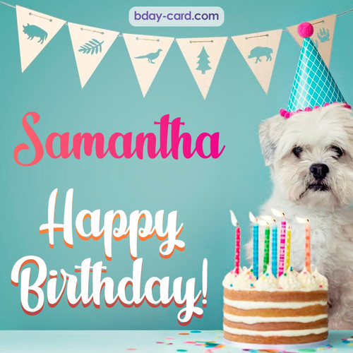 Happiest Birthday pictures for Samantha with Dog