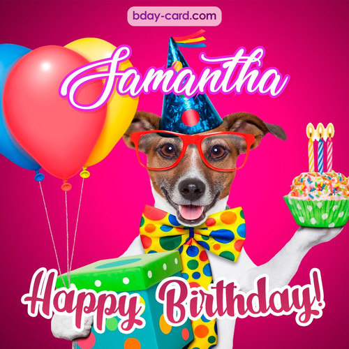 Greeting photos for Samantha with Jack Russal Terrier
