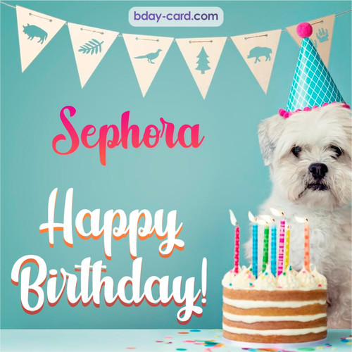 Happiest Birthday pictures for Sephora with Dog