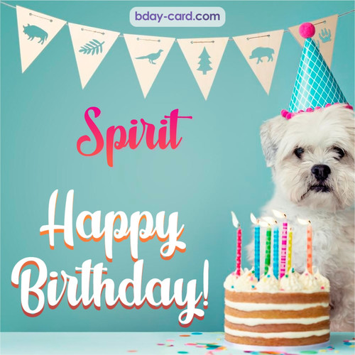 Happiest Birthday pictures for Spirit with Dog