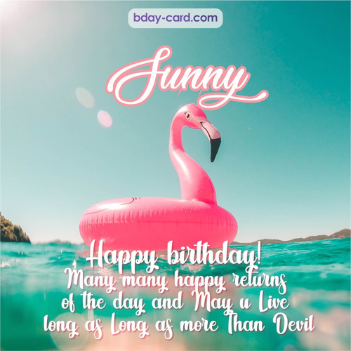Happy Birthday pic for Sunny with flamingo