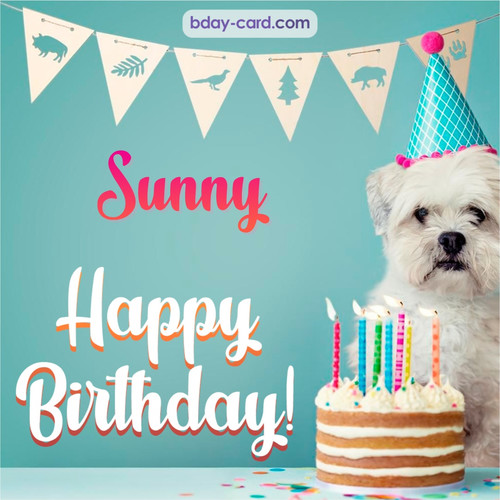 Happiest Birthday pictures for Sunny with Dog