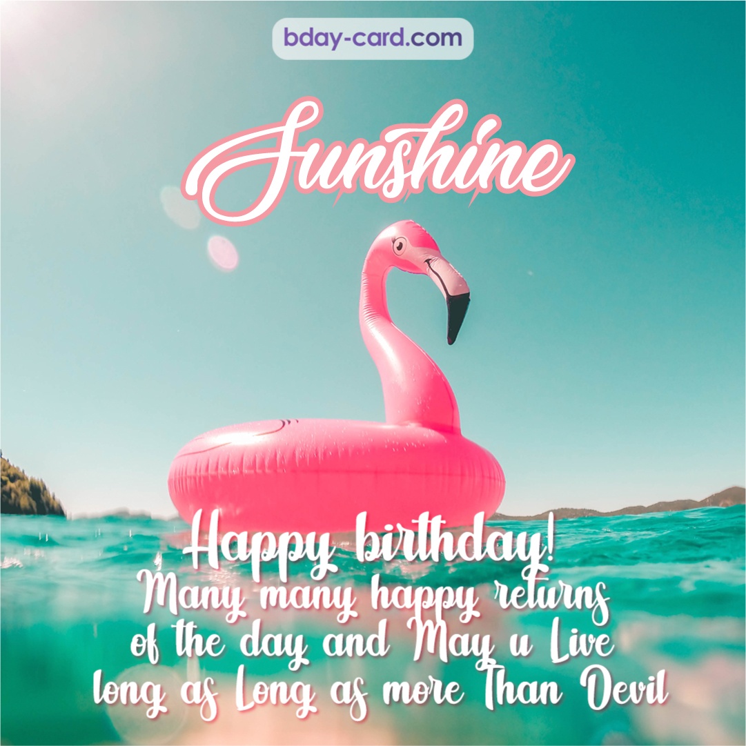 Happy Birthday pic for Sunshine with flamingo