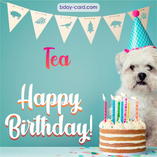 Happiest Birthday pictures for Tea with Dog
