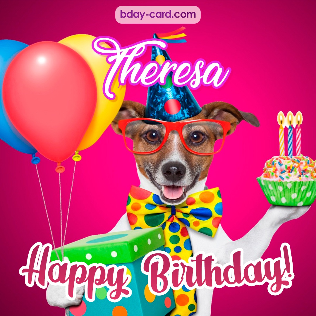 Greeting photos for Theresa with Jack Russal Terrier