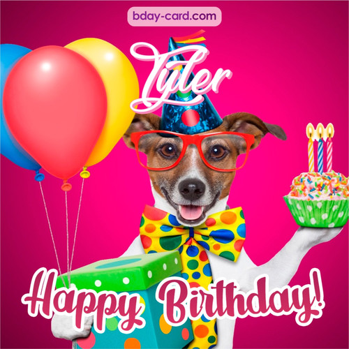 Greeting photos for Tyler with Jack Russal Terrier