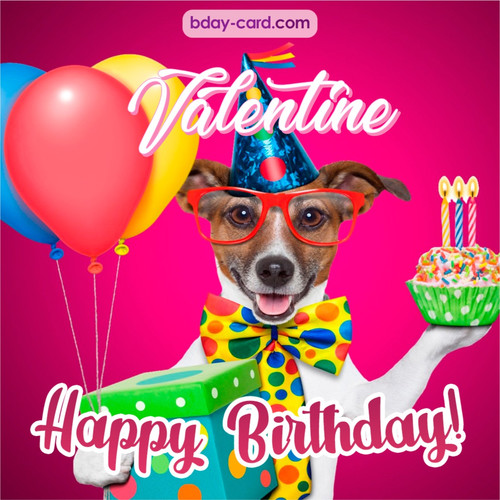 Greeting photos for Valentine with Jack Russal Terrier