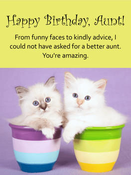 Cute Cats Happy Birday Card for Aunt Birday amp Greeting ...