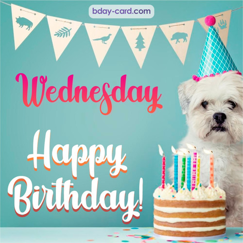 Happiest Birthday pictures for Wednesday with Dog