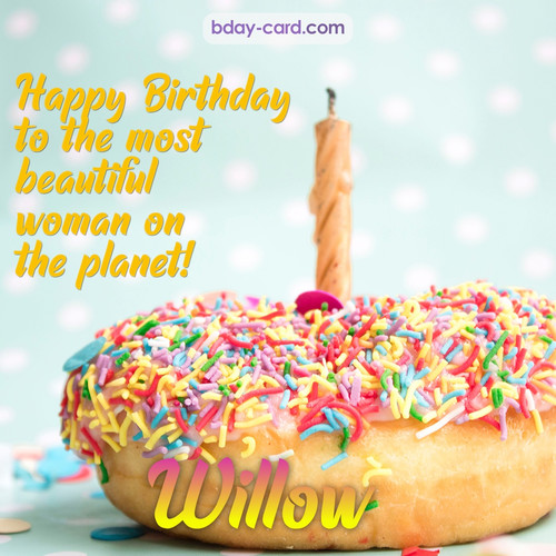 Bday pictures for most beautiful woman on the planet Willow