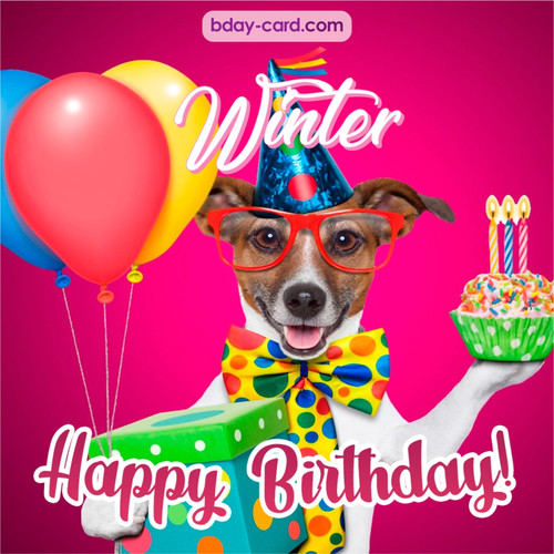 Greeting photos for Winter with Jack Russal Terrier