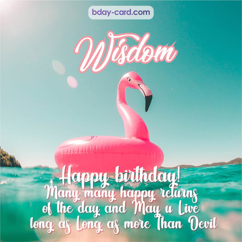 Happy Birthday pic for Wisdom with flamingo