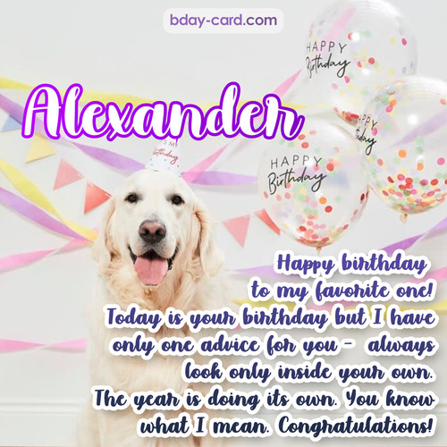 Happy Birthday pics for Alexander with Dog