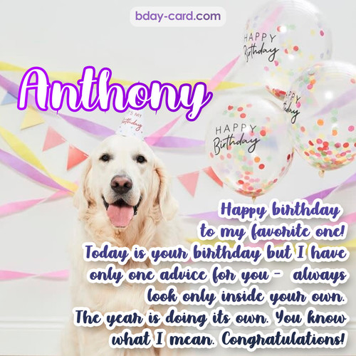 Happy Birthday pics for Anthony with Dog