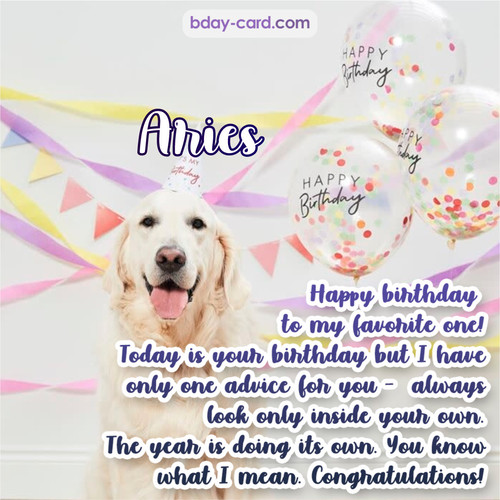 Happy Birthday pics for Aries with Dog