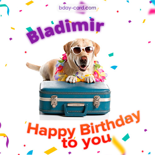 Funny Birthday pictures for Bladimir