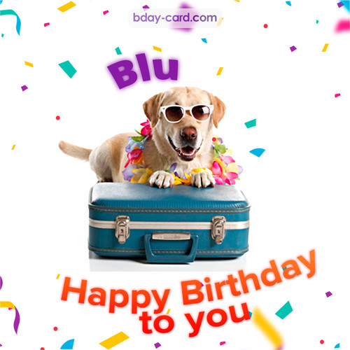 Funny Birthday pictures for Blu