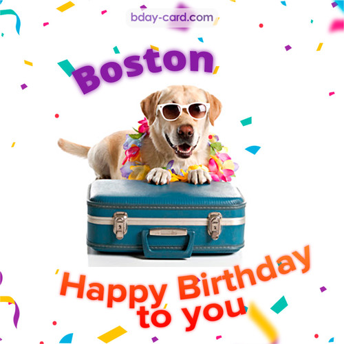 Funny Birthday pictures for Boston