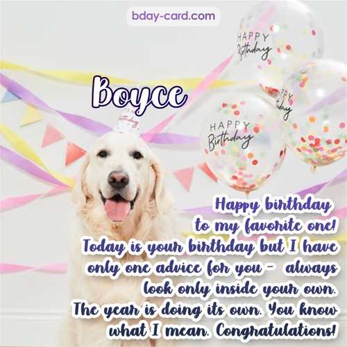 Happy Birthday pics for Boyce with Dog