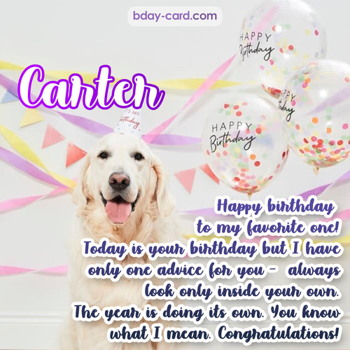 Happy Birthday pics for Carter with Dog