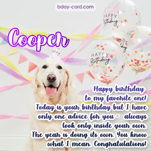 Happy Birthday pics for Cooper with Dog
