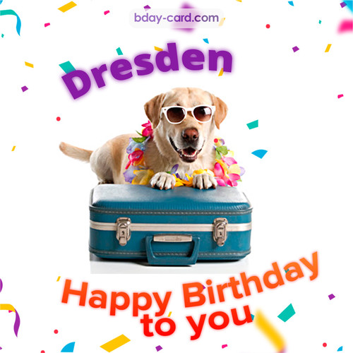 Funny Birthday pictures for Dresden