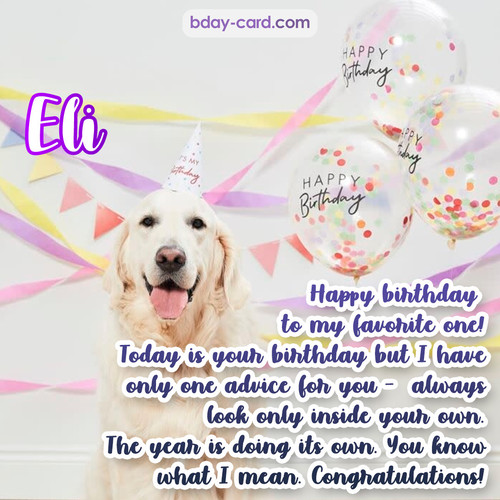 Happy Birthday pics for Eli with Dog