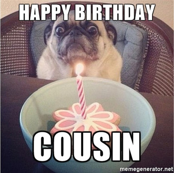 20-Best-Happy-Birday-Memes-For-Your-Favorite-Cousin-...