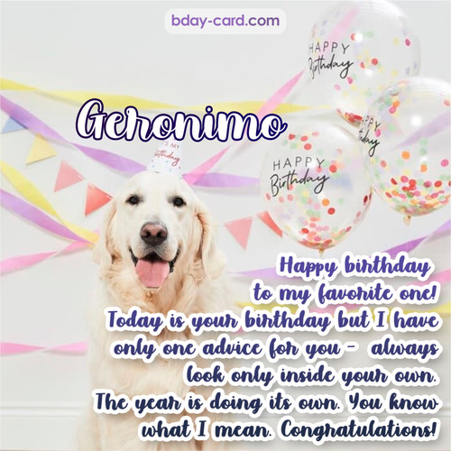 Happy Birthday pics for Geronimo with Dog