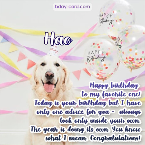 Happy Birthday pics for Hao with Dog